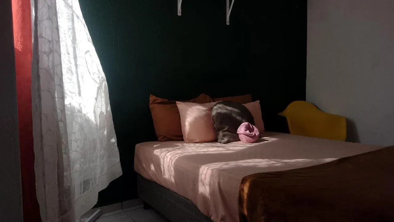 Paxanga Casa Cancunense (Adults Only) Cancun